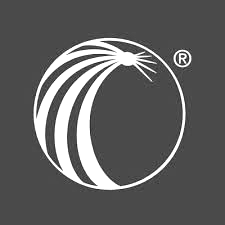 LexisNexis Risk logo